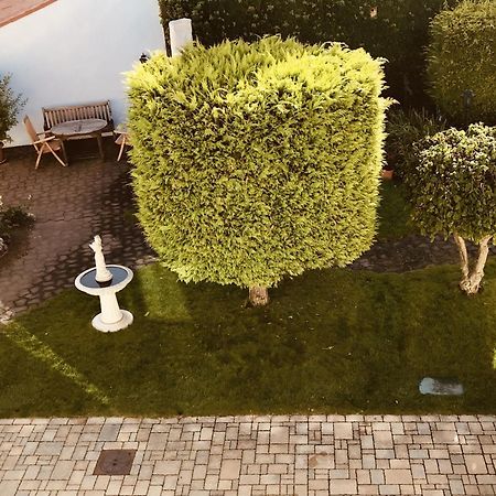Casa Rehse I Stilvolles Apartment I 24H-Self-Check-In I Kostenlos Parken & Wlan I 55-Zoll-Smart&Kabel-Tv I Oepnv แอร์ฟวร์ท ภายนอก รูปภาพ